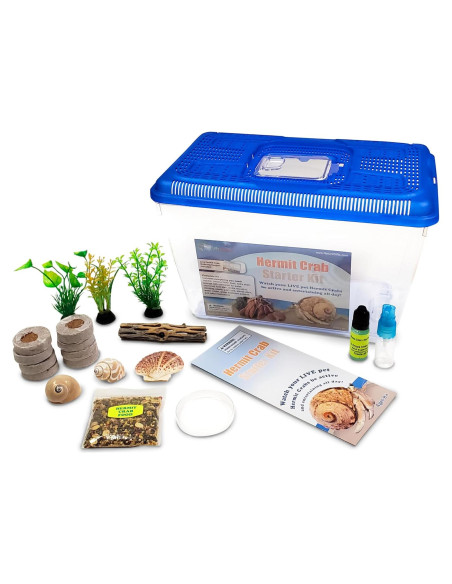 Kit Completo para Cangrejos Ermitaños Vivos Nature Gift 2 Unidades Kit Completo para Cangrejos Ermitaños Vivos Nature Gift 2 Unidades