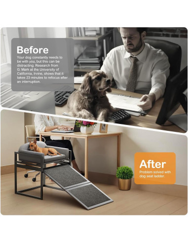 Escalera para Mascotas Clioran Gris 48x31 cm Antideslizante