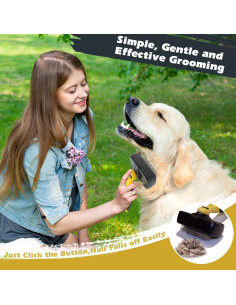 Cepillo Autolimpiante Pet Republique para Mascotas Peludas 2