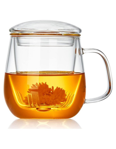 Taza de Té de Vidrio DOPUDO con Infusor y Tapa 520ml