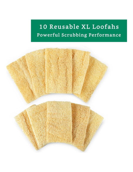 Esponjas de Lufa Natural LooLife para Cocina - Paquete de 10 Esponjas de Lufa Natural LooLife para Cocina - Paquete de 10