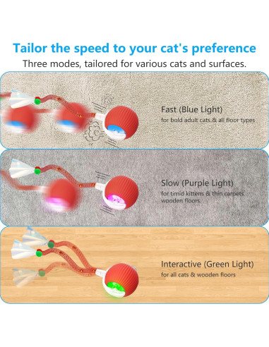 Juguete Interactivo para Gatos LORDTEC 2025 con Cola Elástica
