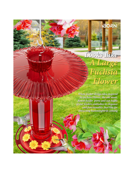 Alimentador de Colibrí iBorn 16oz con Baffle Solar y Estanque Antihormigas Alimentador de Colibrí iBorn 16oz con Baffle Solar y Estanque Antihormigas