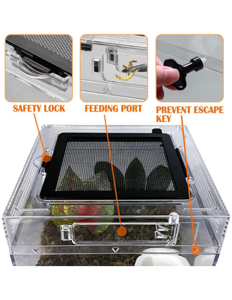 Terrario para reptiles Acsist 20.32x20.32x15.24cm con accesorios Terrario para reptiles Acsist 20.32x20.32x15.24cm con accesorios