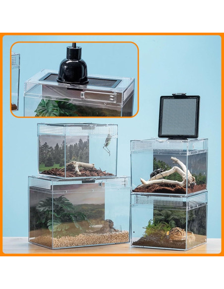 Terrario para reptiles Acsist 20.32x20.32x15.24cm con accesorios Terrario para reptiles Acsist 20.32x20.32x15.24cm con accesorios