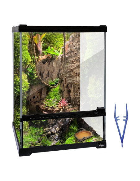 Terrario de vidrio Waazoorep 25.4x25.4x35.6 cm para reptiles Terrario de vidrio Waazoorep 25.4x25.4x35.6 cm para reptiles