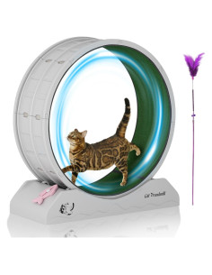 Rueda de Ejercicio para Gatos DAUSOLA 80 cm Gris