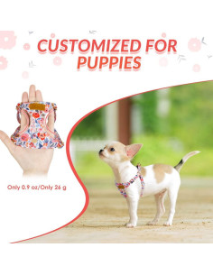 Arnés y Correa para Cachorros Lukovee XXS Ajustable Sin Tirones 2