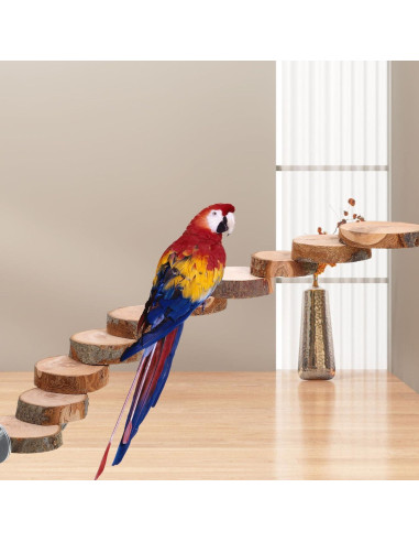 Escalera de Madera Natural Balacoo para Aves y Hámsters - 10 Pasos