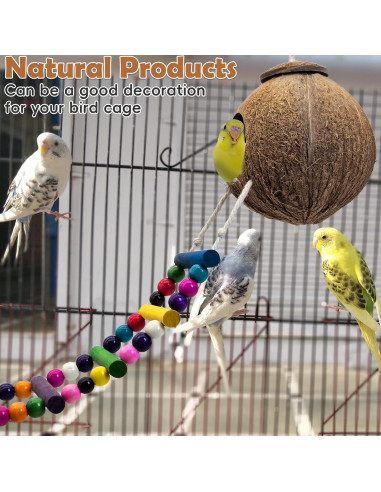 Nido de Pájaro de Coco PINVNBY con Escalera y Columpio