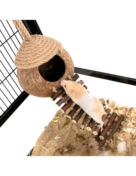 Casa Nido de Coco Andwe para Aves y Hámsters con Escalera Casa Nido de Coco Andwe para Aves y Hámsters con Escalera