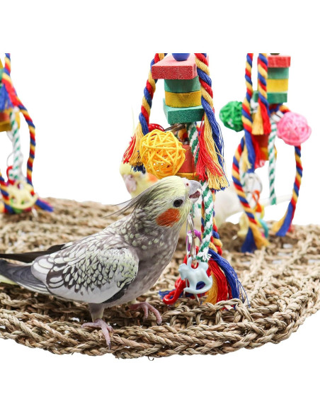 Juguete de columpio para aves Oooct 40x30 cm con hamaca Juguete de columpio para aves Oooct 40x30 cm con hamaca