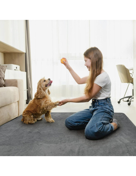 Almohadilla Lavable para Perros LOOBANI 104.14x104.14cm Antideslizante Almohadilla Lavable para Perros LOOBANI 104.14x104.14cm Antideslizante