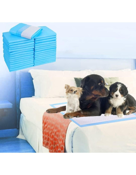 Alfombrillas Absorbentes para Perros Extra Grandes 40 Pcs 91x91cm Alfombrillas Absorbentes para Perros Extra Grandes 40 Pcs 91x91cm