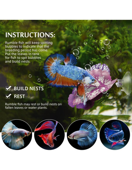 Hamaca para Betta Balacoo 2 Pcs Hoja Acuática con Ventosa Hamaca para Betta Balacoo 2 Pcs Hoja Acuática con Ventosa