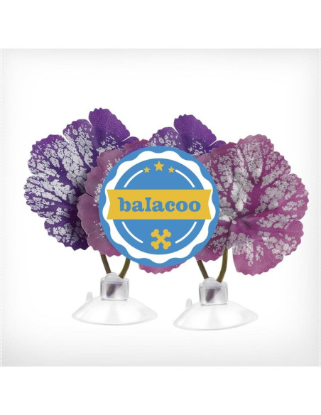 Hamaca para Betta Balacoo 2 Pcs Hoja Acuática con Ventosa Hamaca para Betta Balacoo 2 Pcs Hoja Acuática con Ventosa