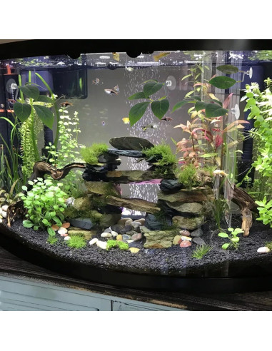 Juego de 4 Almohadillas Decorativas para Acuario Teaaha Verde