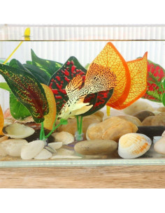 Hamaca Acuática para Peces Betta Rosojodg con Ventosa Verde 2