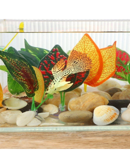 Hamaca Acuática para Peces Betta Rosojodg con Ventosa Verde Hamaca Acuática para Peces Betta Rosojodg con Ventosa Verde