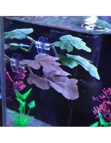 Almohadilla de Hoja para Peces Betta JJLFresheners - Verde