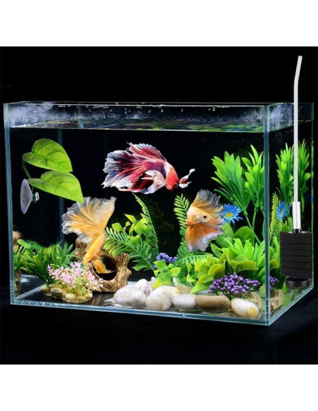 Hamaca Acuática para Peces Betta Rosojodg con Ventosa Verde Hamaca Acuática para Peces Betta Rosojodg con Ventosa Verde