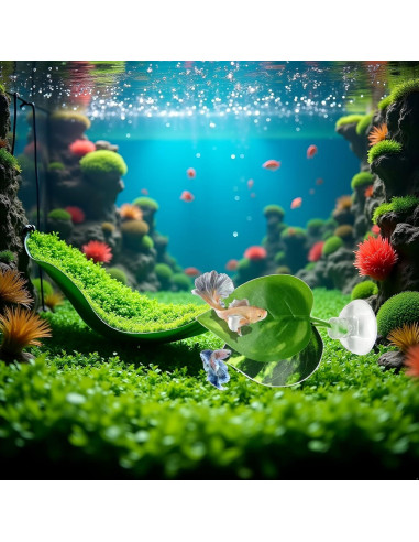 Hamaca Acuática para Peces Betta Rosojodg con Ventosa Verde