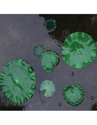 8 Hojas Flotantes Artificiales Loto Thovorrnl - Verde