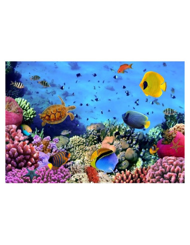 Fondo Fotográfico AOFOTO 1.52x0.91m Submarino Colorido