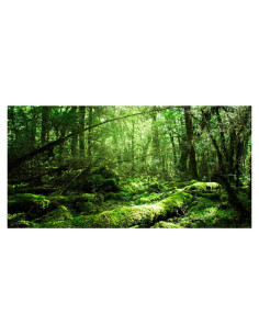 Fondo de Acuario 90x50 cm AWERT Poliester Tropical