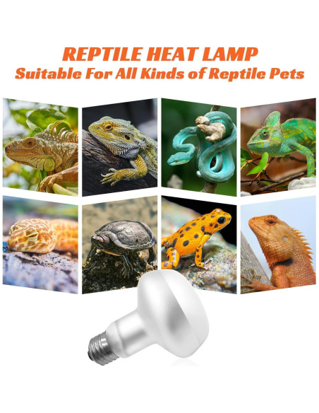Bombillas de Calor para Reptiles Yimidool 100W UVA Paquete de 2 Bombillas de Calor para Reptiles Yimidool 100W UVA Paquete de 2