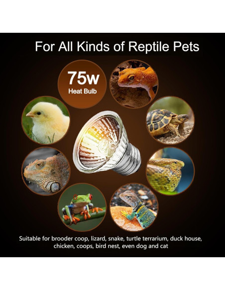 Bombillas de Calor UVA 75W Lachesan para Reptiles - Paquete de 4 Bombillas de Calor UVA 75W Lachesan para Reptiles - Paquete de 4