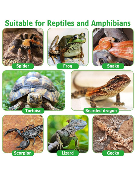 Soporte de Lámpara de Calor para Reptiles Kathson E26 Cerámica Soporte de Lámpara de Calor para Reptiles Kathson E26 Cerámica