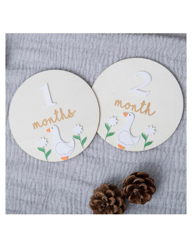 Tarjetas de Hitos Mensuales Troxueo - Discos de Madera 12.45 cm