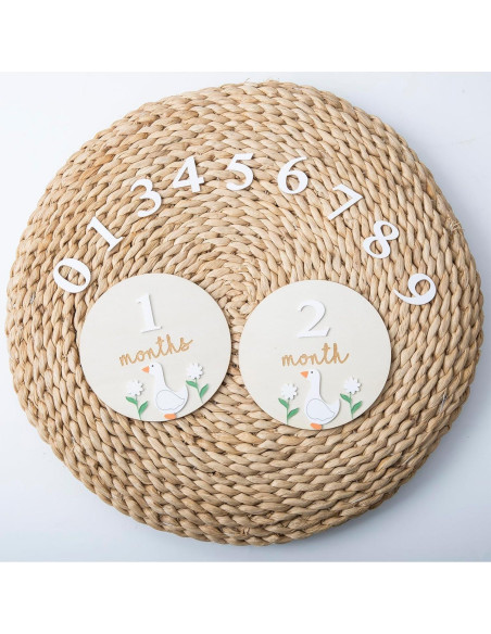 Tarjetas de Hitos Mensuales Troxueo - Discos de Madera 12.45 cm Tarjetas de Hitos Mensuales Troxueo - Discos de Madera 12.45 cm