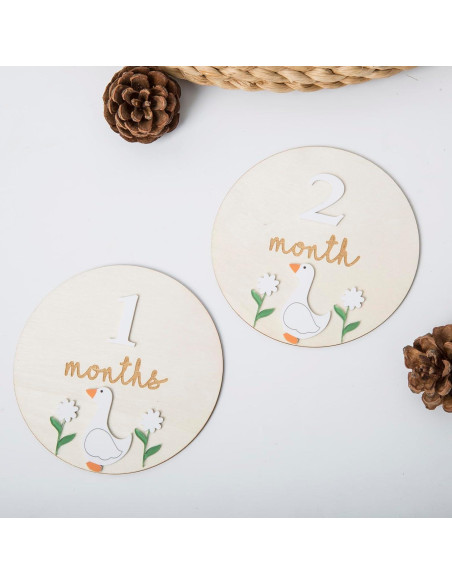 Tarjetas de Hitos Mensuales Troxueo - Discos de Madera 12.45 cm Tarjetas de Hitos Mensuales Troxueo - Discos de Madera 12.45 cm