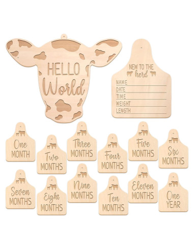 Tarjetas Mensuales de Bebé Huray Rayho - Set de 14 Tarjetas de Madera