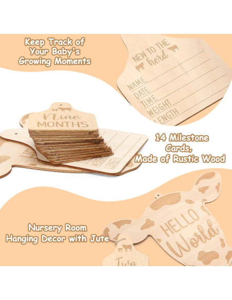 Tarjetas Mensuales de Bebé Huray Rayho - Set de 14 Tarjetas de Madera Tarjetas Mensuales de Bebé Huray Rayho - Set de 14 Tarjetas de Madera