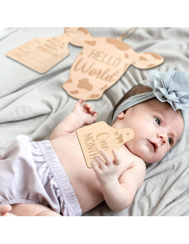 Tarjetas Mensuales de Bebé Huray Rayho - Set de 14 Tarjetas de Madera