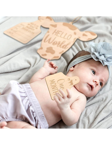 Tarjetas Mensuales de Bebé Huray Rayho - Set de 14 Tarjetas de Madera Tarjetas Mensuales de Bebé Huray Rayho - Set de 14 Tarjetas de Madera