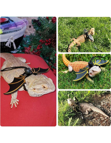 Arnés y Correa Ajustable Pawaboo para Dragón Barbudo - 3 Tamaños