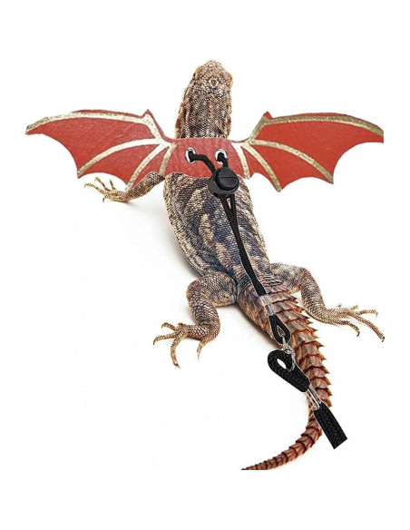 Correa Ajustable para Dragón Barbudo Winmany - Arnés Suave Naranja Correa Ajustable para Dragón Barbudo Winmany - Arnés Suave Naranja