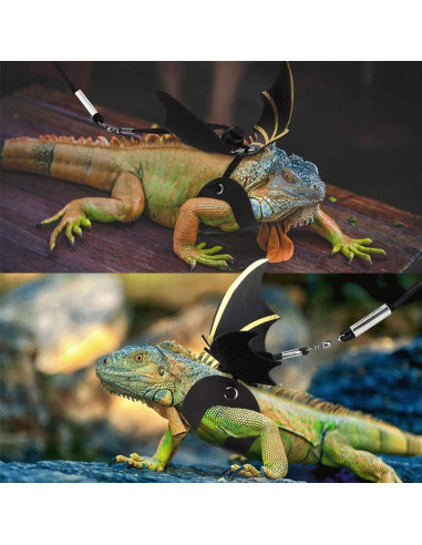 Correa Ajustable para Dragón Barbudo y Lagarto Qusmeiyici - 2 Juegos