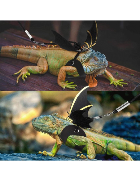Correa Ajustable para Dragón Barbudo y Lagarto Qusmeiyici - 2 Juegos Correa Ajustable para Dragón Barbudo y Lagarto Qusmeiyici - 2 Juegos