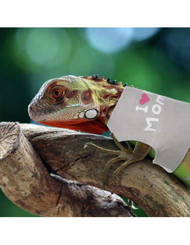 Conjunto Arnés y Correa Ajustable para Dragón Barbudo - Skrfren