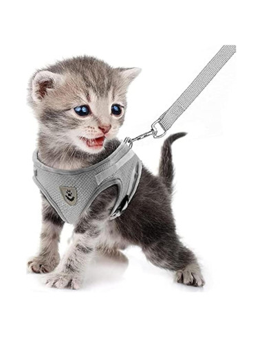 Conjunto Arnés y Correa FEimaX para Perros y Gatos Pequeños