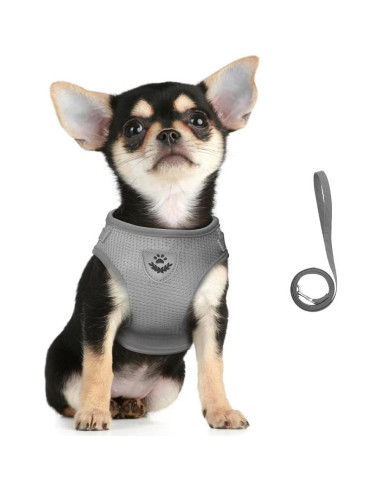 Conjunto Arnés y Correa FEimaX para Perros y Gatos Pequeños