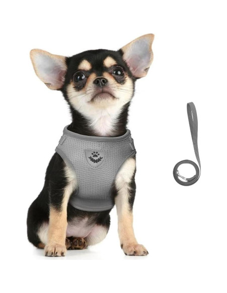 Conjunto Arnés y Correa FEimaX para Perros y Gatos Pequeños Conjunto Arnés y Correa FEimaX para Perros y Gatos Pequeños
