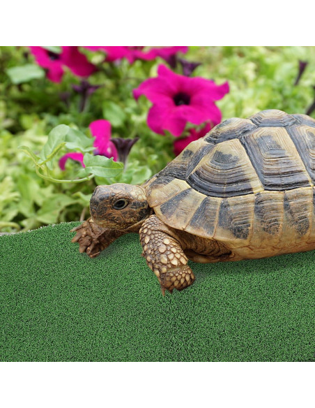 Plataforma de Sol para Tortugas Ipetboom 50x25cm Césped Artificial Plataforma de Sol para Tortugas Ipetboom 50x25cm Césped Artificial