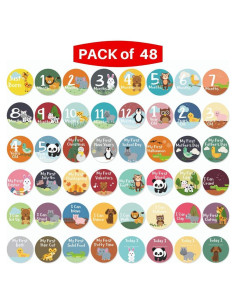 Calcomanías de Hitos y Meses Novarena 48 Pack 4" Bebés