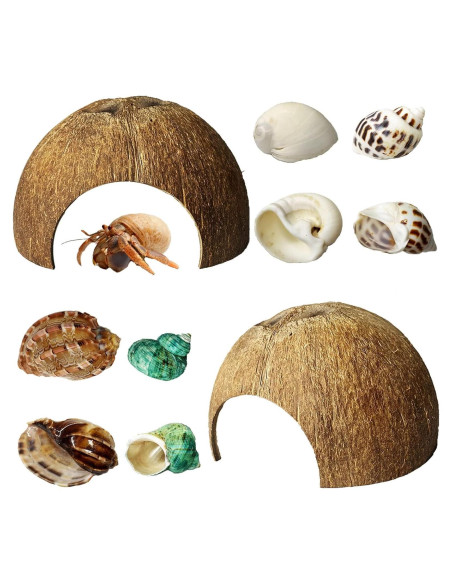 Refugios Naturales para Cangrejos Ermitaños Kathson - 10 Pcs Refugios Naturales para Cangrejos Ermitaños Kathson - 10 Pcs